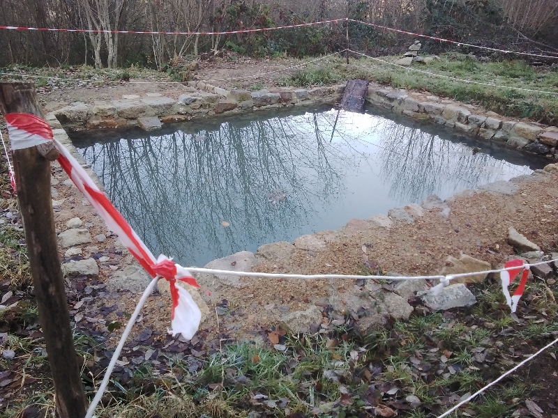 20231210_091245_resize_81 20231210_091245_resize_81