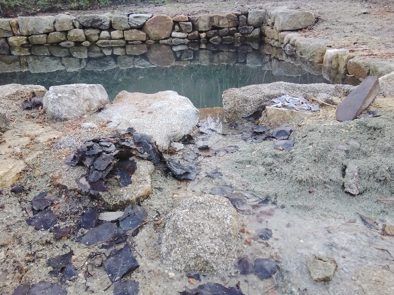 20231210_091558_resize_29 20231210_091558_resize_29