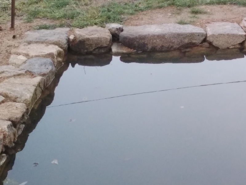 20231210_091756_resize_19 20231210_091756_resize_19