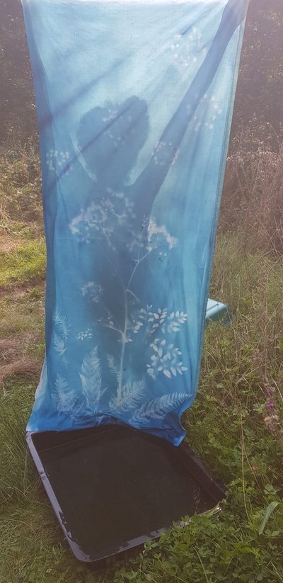 20250817-cyanotype2 20250817-cyanotype2