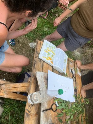 20250818-botanique 20250818-botanique