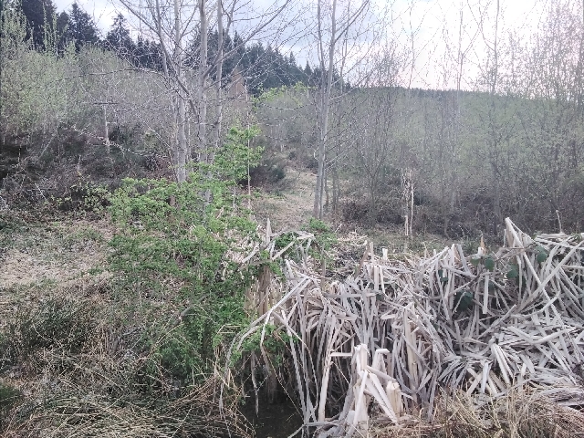 20220419_182853_resize_1 Resserrement1