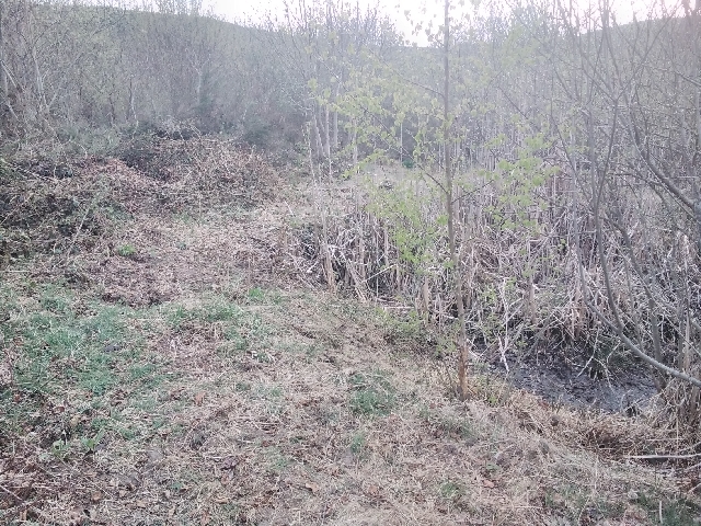 20220419_183008_resize_66 Largeur moyenne