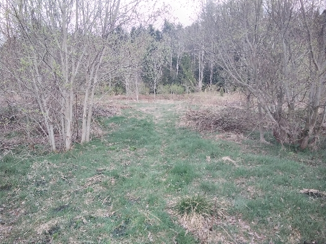 20220419_183112_resize_36 L'arche en porte de sortie