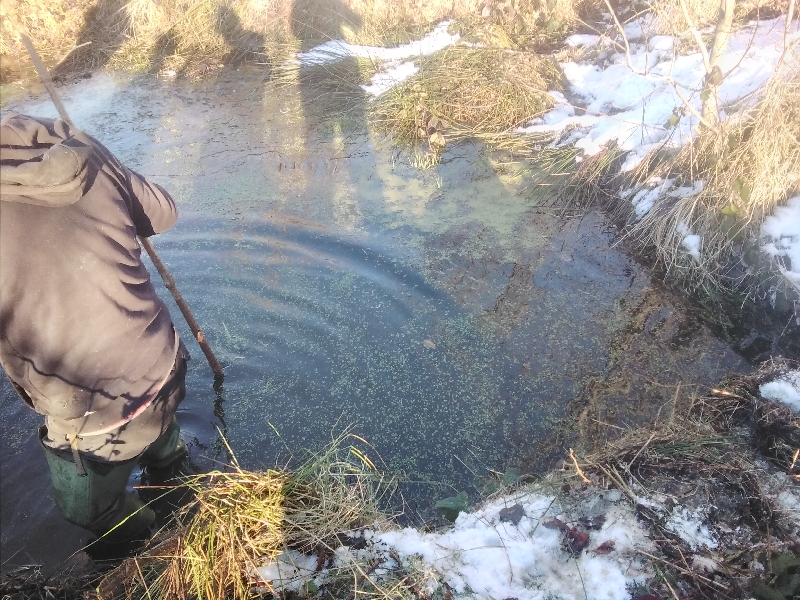 20220116_155250_resize_64 20220116_155250_resize_64