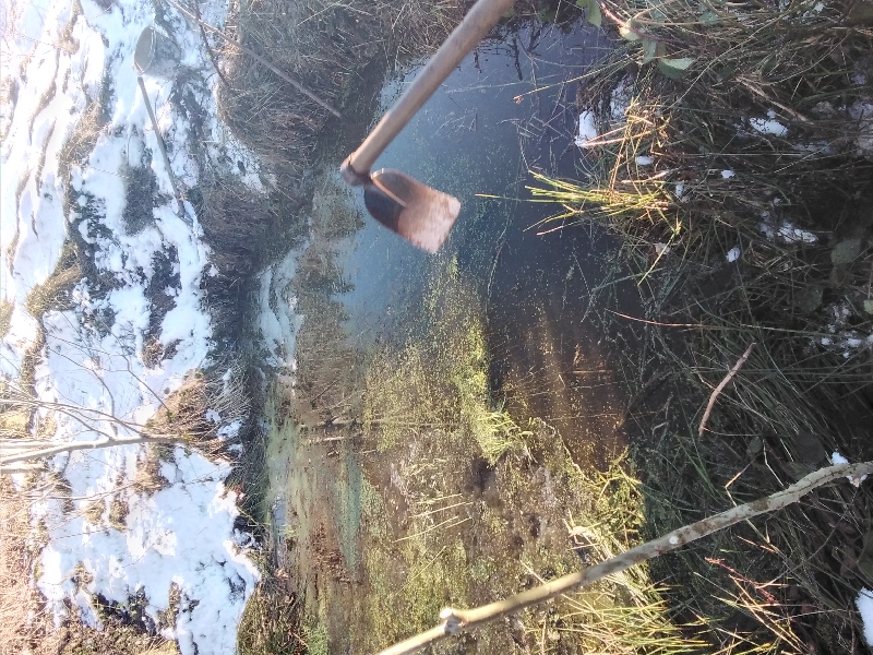 20220116_155708_resize_23 20220116_155708_resize_23