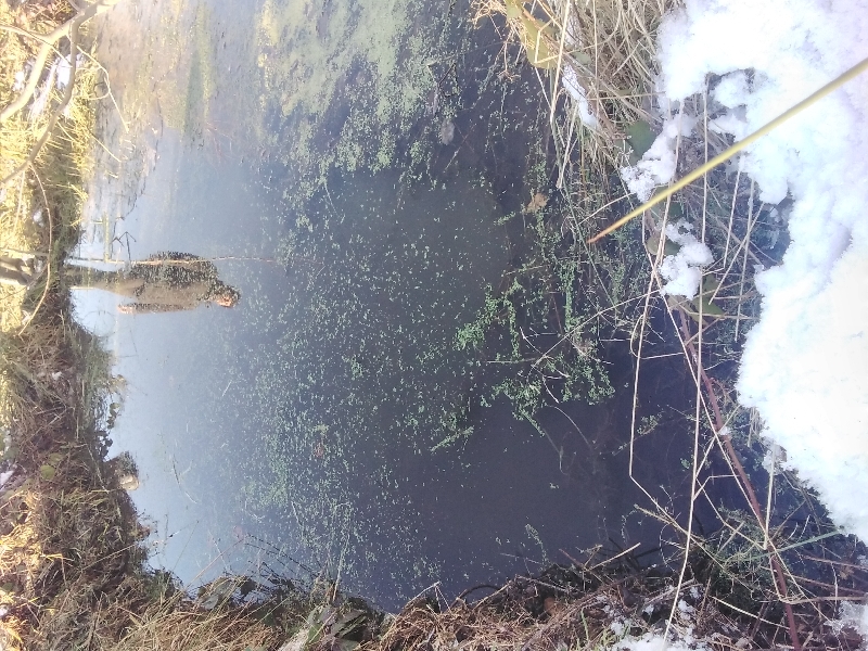 20220116_160238_resize_66 20220116_160238_resize_66