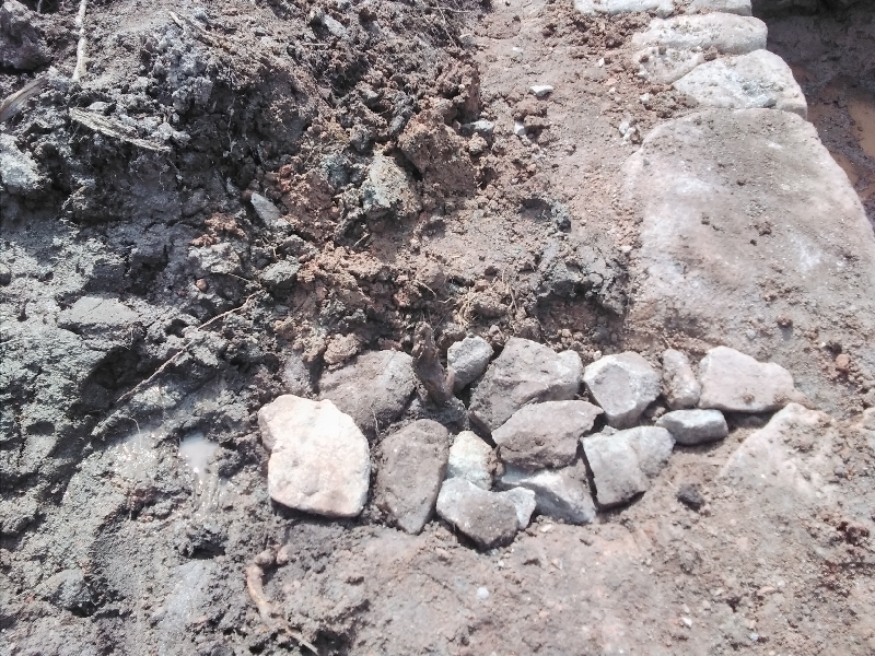 20230801_111911_resize_78 20230801_111911_resize_78