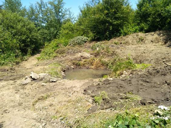 image0000081 image0000081