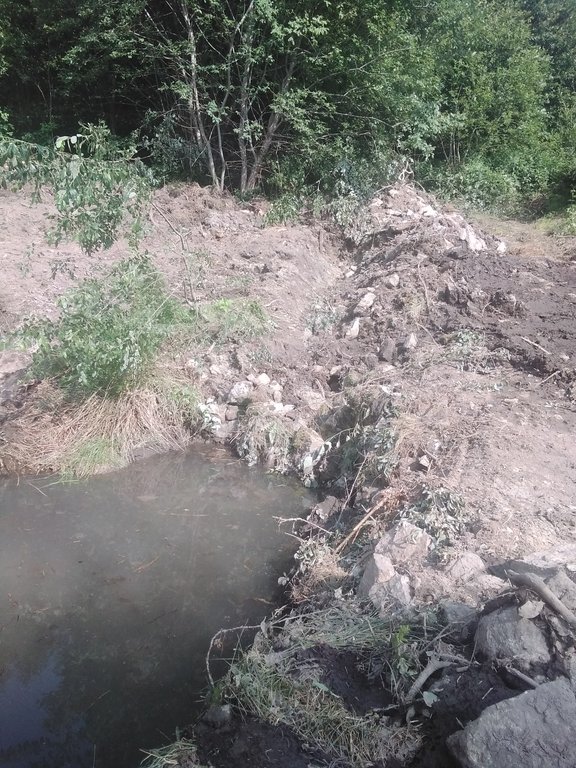 r%C3%A9surgence_1 r%C3%A9surgence_1