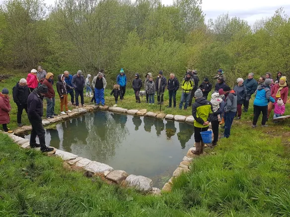 2000006938404 2000006938404