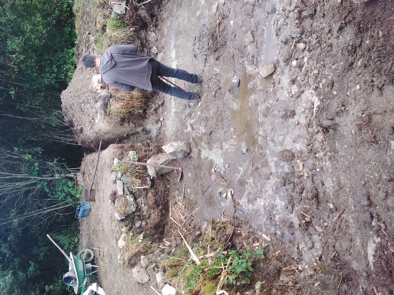 20230713_083746_resize_80 20230713_083746_resize_80