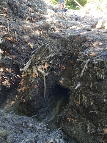 20230714_183046 20230714_183046