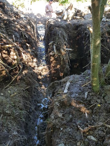 20230714_183119 20230714_183119