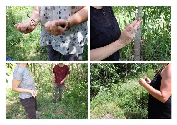 sourcellerie sourcellerie