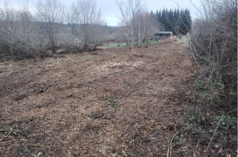 En entrant sur la parcelle et en tournant la tête sur la droite