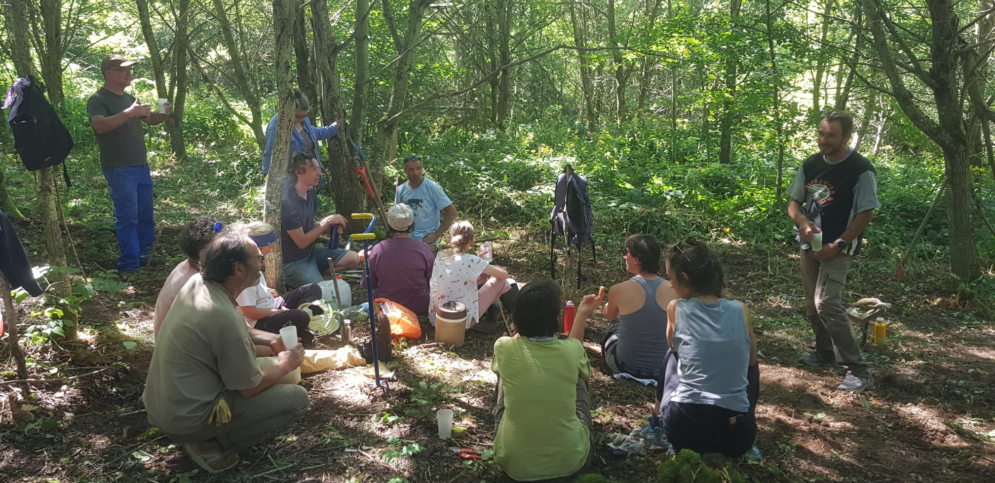 20250811-sousbois2 20250811-sousbois2