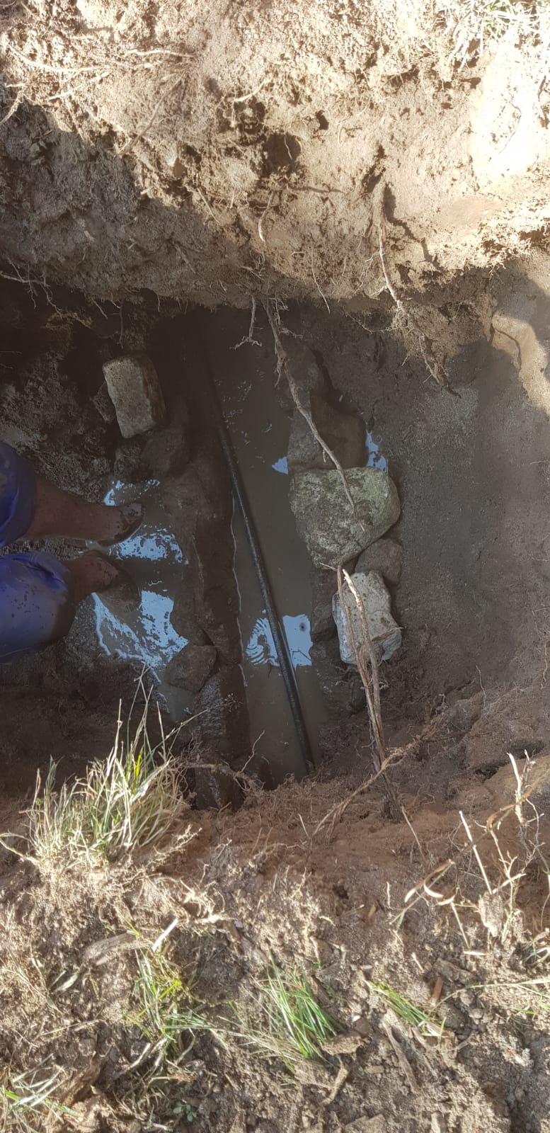 20250812-drain 20250812-drain