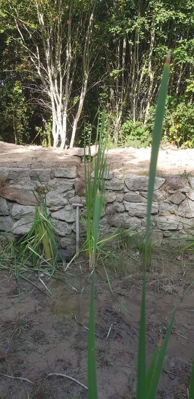 20250814-bondoux 20250814-bondoux