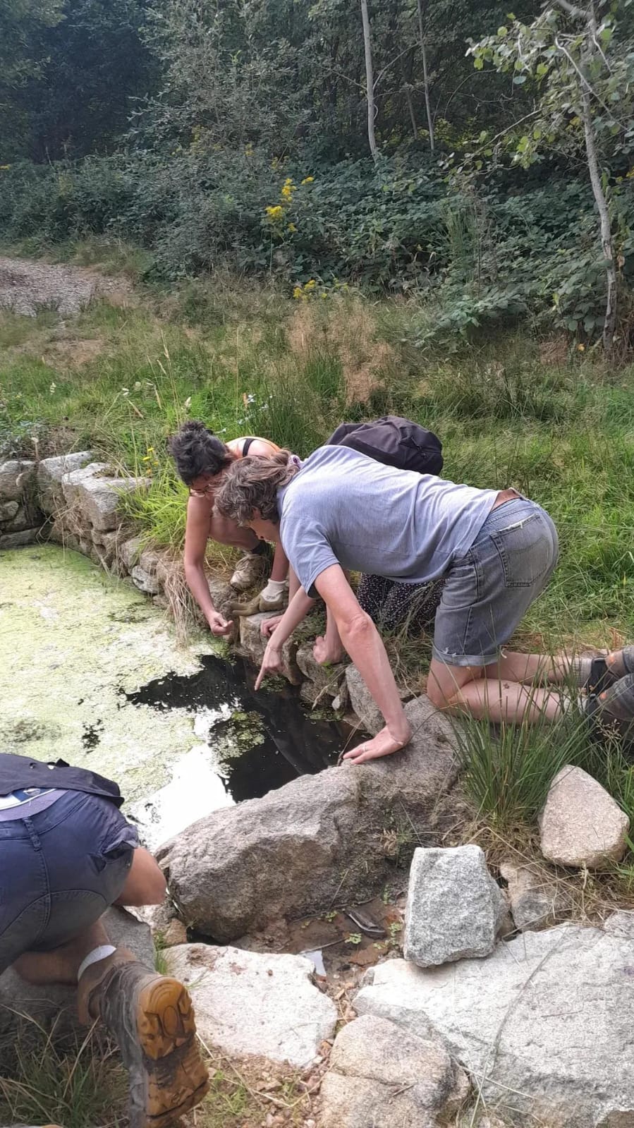 20250814-tritons 20250814-tritons