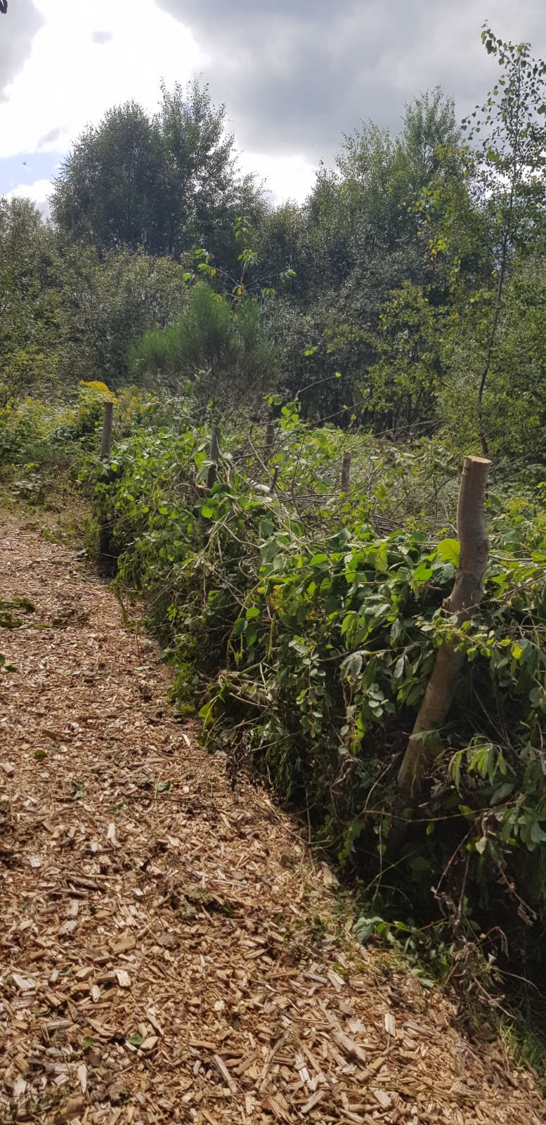 Côté serves Côté serves